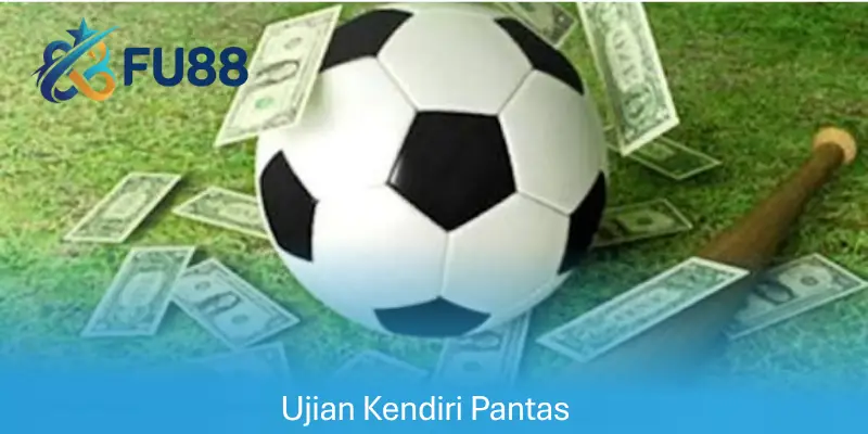 Ujian Kendiri Pantas